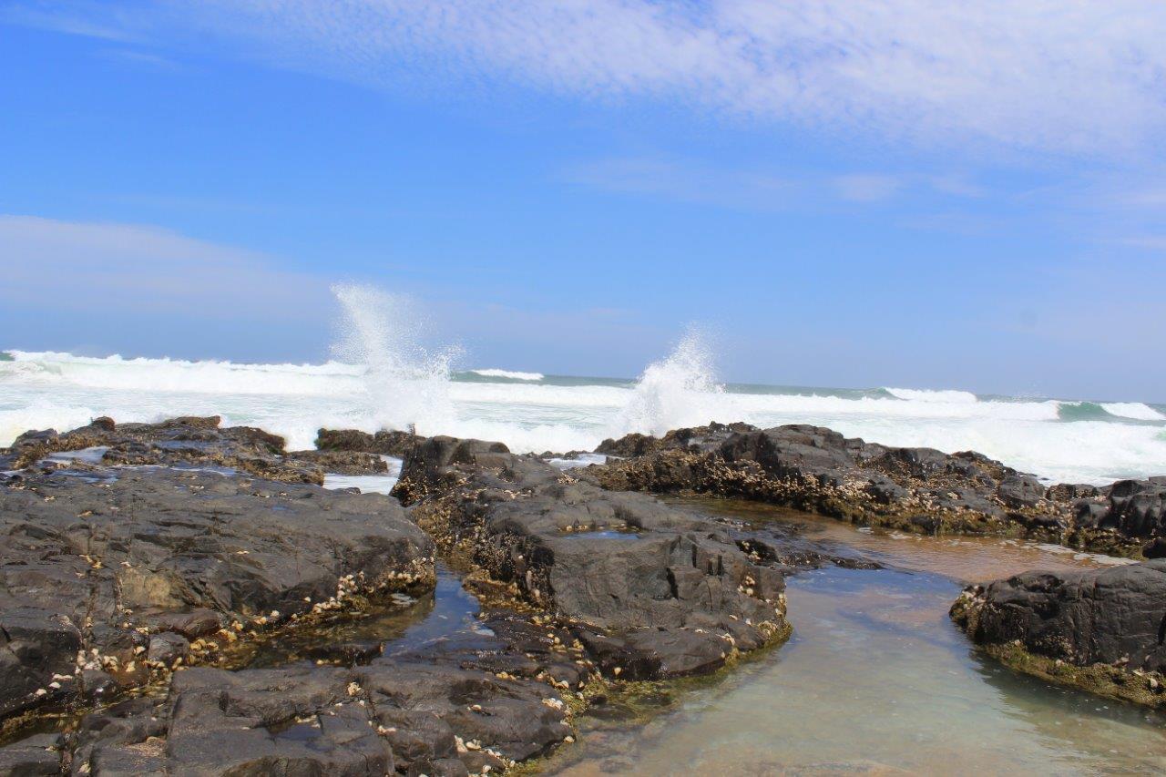 Silver Dolphin Holidays Amanzimtoti Room photo